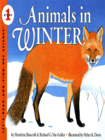 Animals in Winter