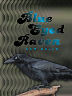 Blue Eyed Raven