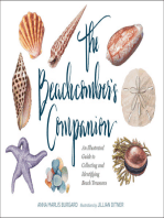 The Beachcomber's Companion: An Illustrated Guide to Collecting and Identifying Beach Treasures