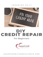 DIY Credit Repair for Begginers