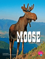 Moose