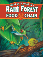 What Eats What in a Rain Forest Food Chain
