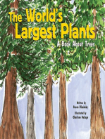 The World's Largest Plants