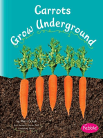 Carrots Grow Underground