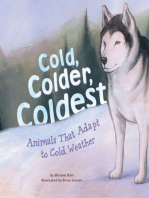 Cold, Colder, Coldest