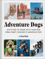 Adventure Dogs: Activities to Share with Your Dog - from Comfy Couches to Mountain Tops
