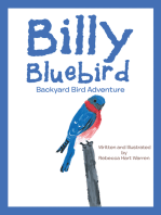 Billy Bluebird