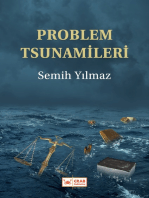 Problem Tsunamileri