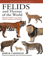 Felids and Hyenas of the World: Wildcats, Panthers, Lynx, Pumas, Ocelots, Caracals, and Relatives