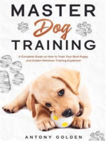 Master Dog Training: A Complete Guide on How to Train Your Best Puppy and Golden Retriever Training Explained