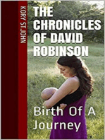 Birth Of A Journey: The Chronicles Of David Robinson, #1