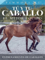 Tú y Tu Caballo, El Mejor Equipo. Entrenamiento De Caballos.