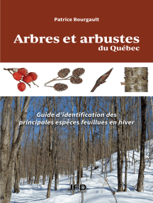 Arbres et arbustes du Québec: Guide d'identification des principales espèces feuillues en hiver