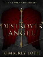 Destroyer Angel