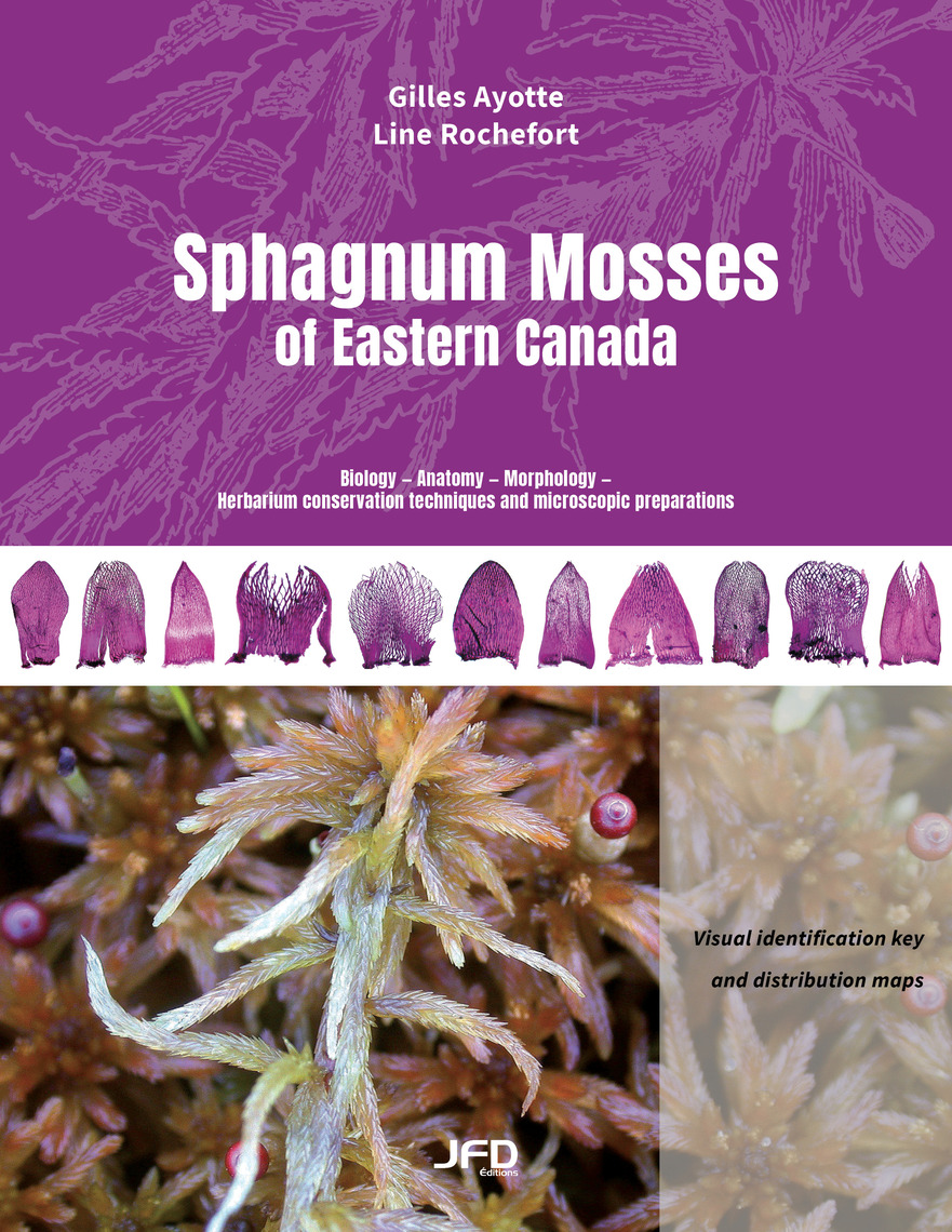 Sphagnum Mosses of Eastern Canada by Gilles Ayotte, Line Rochefort ...