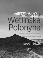 Through the Wetlinska Polonyna. Landscape and Nature Photo Book