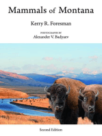 Mammals of Montana: Second Edition