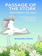 Passage of the Stork, Delivering the Soul: One Woman's Journey to Self-Realization and Acceptance