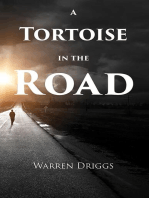 A Tortoise in the Road