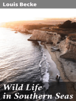 Wild Life in Southern Seas