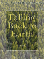 Falling Back To Earth