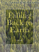 Falling Back To Earth: A Novel