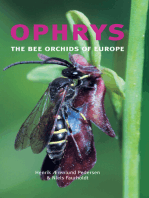 Ophrys: The Bee Orchids of Europe