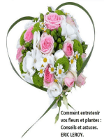 Comment entretenir vos fleurs et plantes :