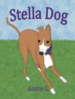 Stella Dog