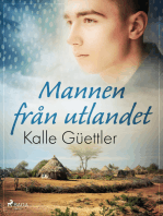 Mannen från utlandet