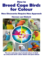 How to Breed Cage Birds for Colour