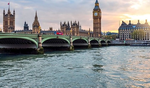 How Did The Thames Recover From Being A ‘Dead’ River To Homing Venomous ...