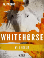 Whitehorse VI: Wild horses