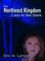 The Northeast Kingdom: Lost in the Dark