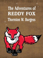 The Adventures of Reddy Fox