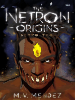 The Netron Origins: Netro Two