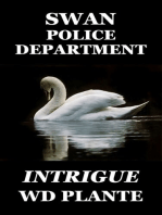 Swan Police Department