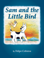 Sam and the Little Bird