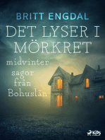 Det lyser i mörkret