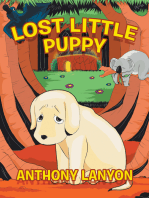 Lost Little Puppy