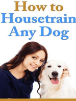 How To Housetrain Any Dog