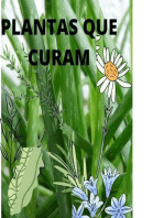 ERVAS QUE CURAM: PLANTAS MEDICINAIS