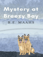 Mystery at Breezy Bay