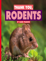Thank You, Rodents