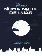 Poesia numa noite de luar