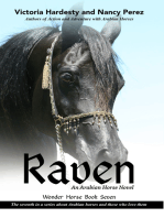 Raven: An Arabian Horse Novel