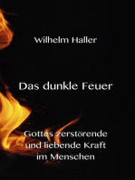 Das dunkle Feuer -Gottes zerstörende und liebende Kraft im Menschen