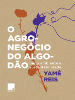 O agronegócio do algodão: meio ambiente e sustentabilidade