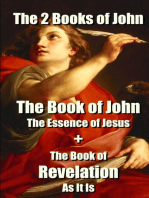 The 2 Books of John: The Book of John The Essence of Jesus + The Book of Revelation As It Is