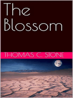 The Blossom